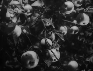 vlcsnap-2023-08-09-09h31m19s136