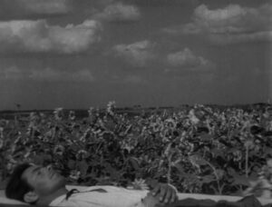 vlcsnap-2023-08-09-09h32m32s958