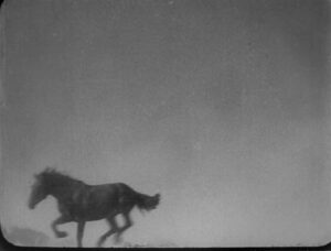 vlcsnap-2023-08-09-09h35m38s021