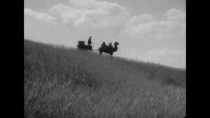 vlcsnap-2023-08-14-17h26m19s612