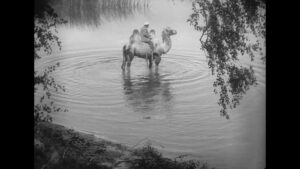 vlcsnap-2023-08-14-17h27m56s285