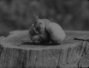 vlcsnap-2023-11-07-18h31m23s881