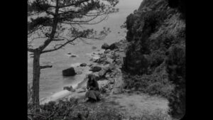 vlcsnap-2023-11-09-22h58m48s463