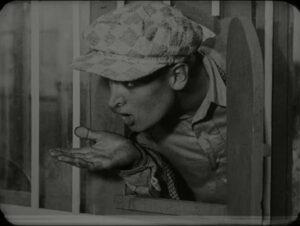 Pigs Will Always Be Pigs