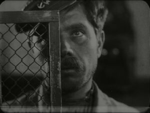 Свині завжди свині