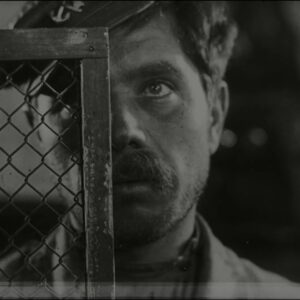 Pigs Will Always Be Pigs