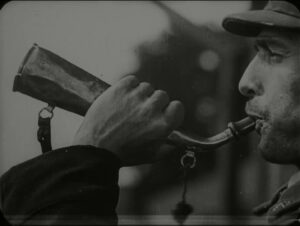 Свині завжди свині