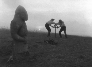 Квітка на камені