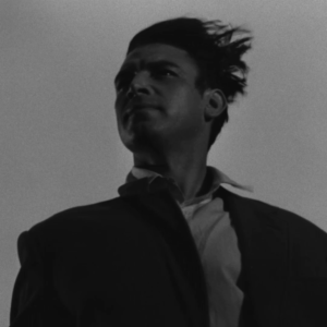 Квітка на камені