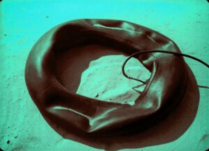 Та що входить у море