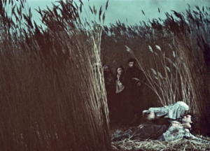 Дорогою ціною