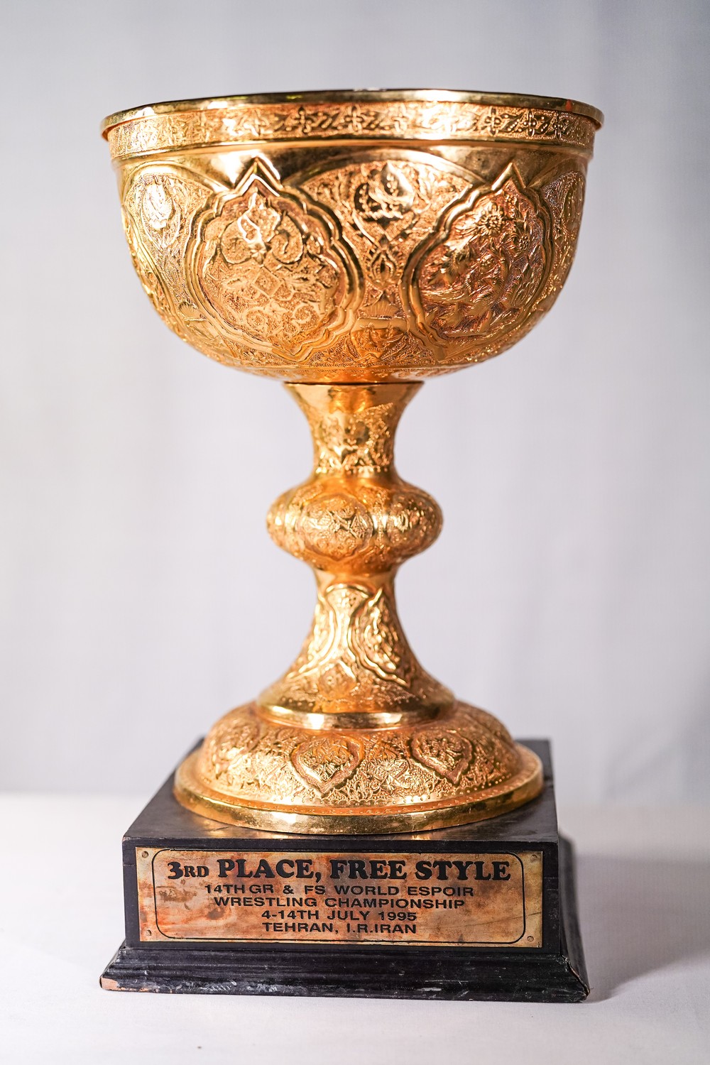Кубок за 3 місце з вільної боротьби. 4-14 липня 1995 року. Тегеран. Іран