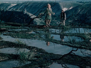 photo_2025-07-16_14-50-09