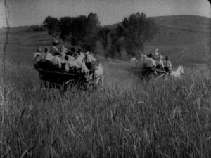 Василина (10) (1)