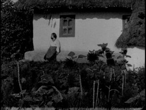 Василина (18) (1)