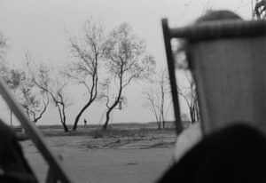 Довгі проводи10