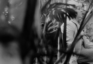 Довгі проводи5