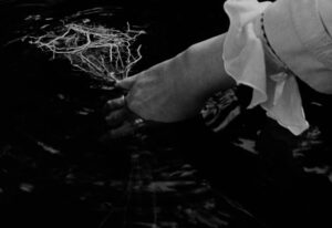 Довгі проводи6